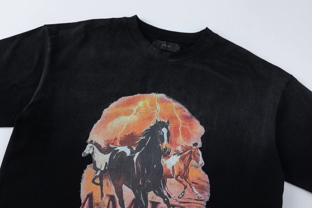AMIRI Plains graphic T-Shirt
