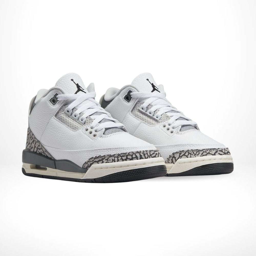 Air Jordan 3 Retro Hide N’ Sneak Light Ash Grey