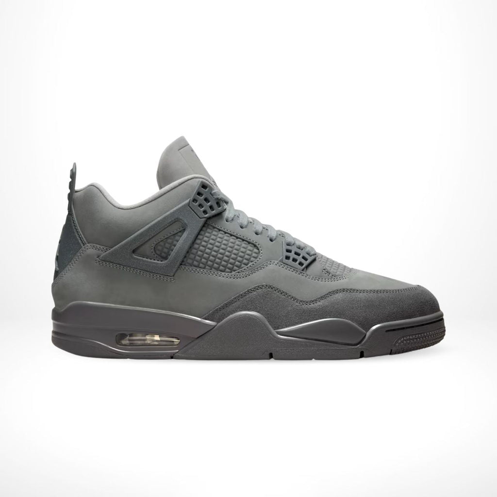 Air Jordan 4 SE Paris Olympics Wet Cement
